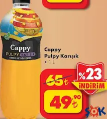 CAPPY PULPY KARIŞIK MEYVE SUYU 1 L fiyat ve kampanya bilgisi